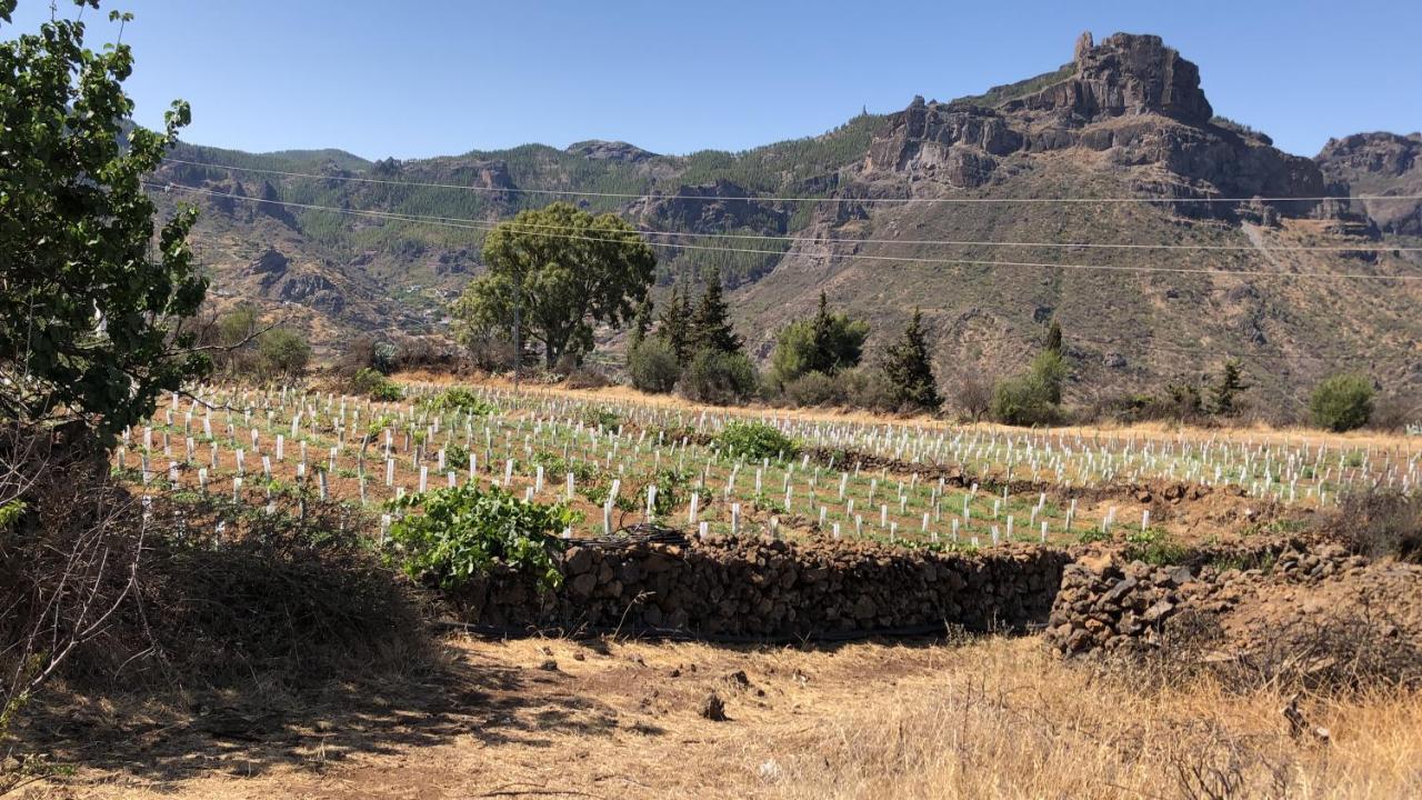 Casa-Finca El Maipez De Tejeda Villa Las Palmas de Gran Canaria Exteriör bild