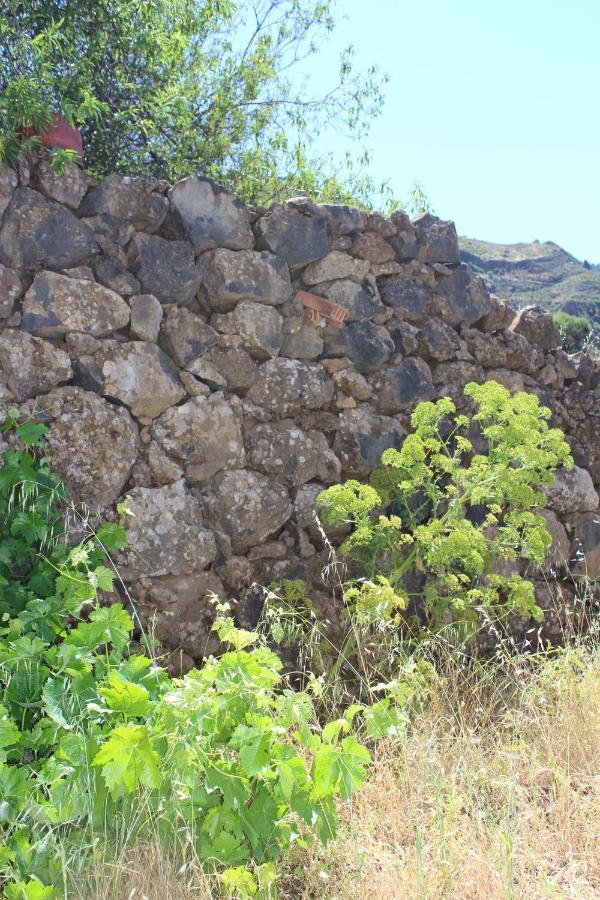 Casa-Finca El Maipez De Tejeda Villa Las Palmas de Gran Canaria Exteriör bild