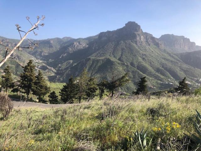 Casa-Finca El Maipez De Tejeda Villa Las Palmas de Gran Canaria Exteriör bild