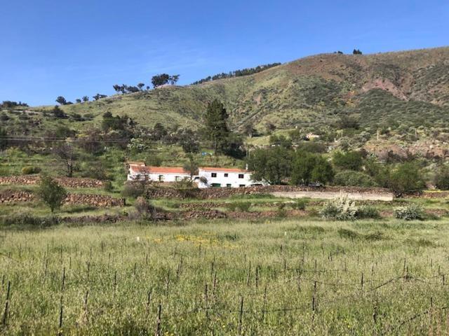 Casa-Finca El Maipez De Tejeda Villa Las Palmas de Gran Canaria Exteriör bild