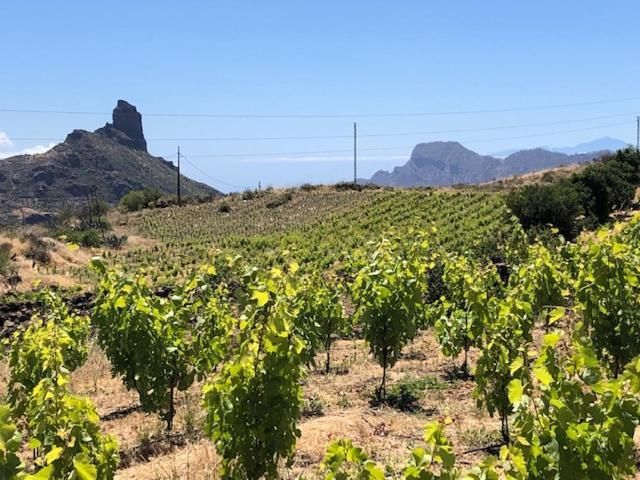 Casa-Finca El Maipez De Tejeda Villa Las Palmas de Gran Canaria Exteriör bild