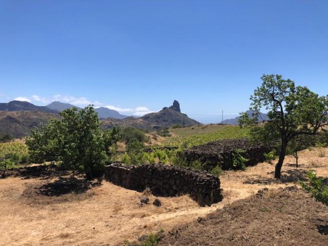 Casa-Finca El Maipez De Tejeda Villa Las Palmas de Gran Canaria Exteriör bild