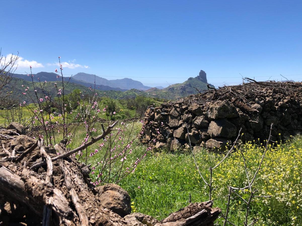 Casa-Finca El Maipez De Tejeda Villa Las Palmas de Gran Canaria Exteriör bild