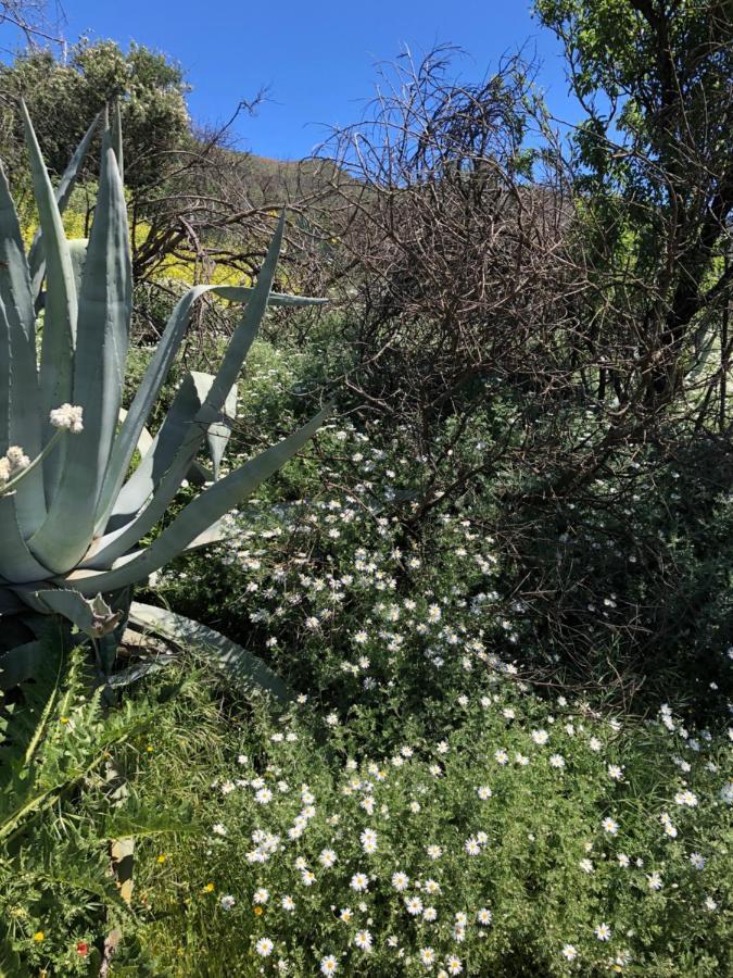 Casa-Finca El Maipez De Tejeda Villa Las Palmas de Gran Canaria Exteriör bild